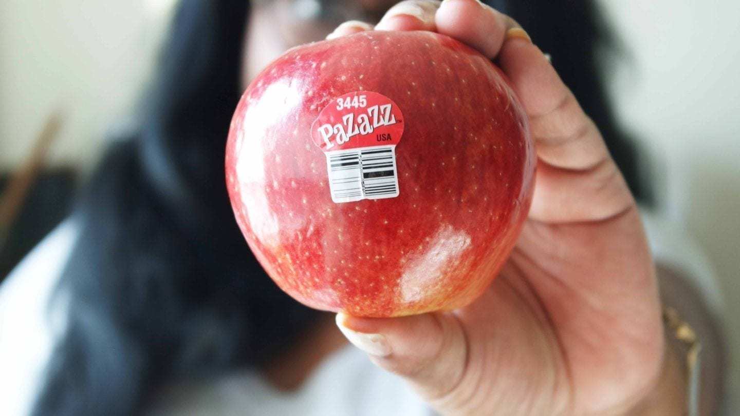 pazzaz-apple