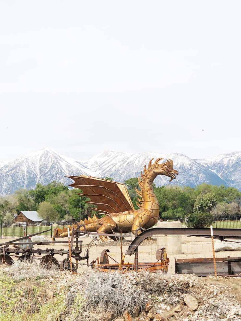 Carson Valley Dragon