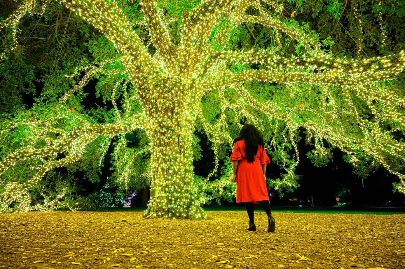 mila clarke buckley in front of Houstonian Hotel Tree