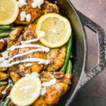 greek style chicken over head shot with green beans