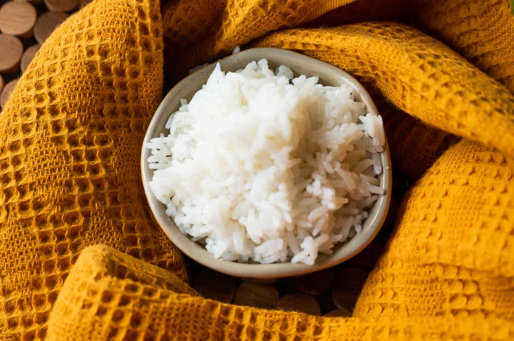 coconut milk rice