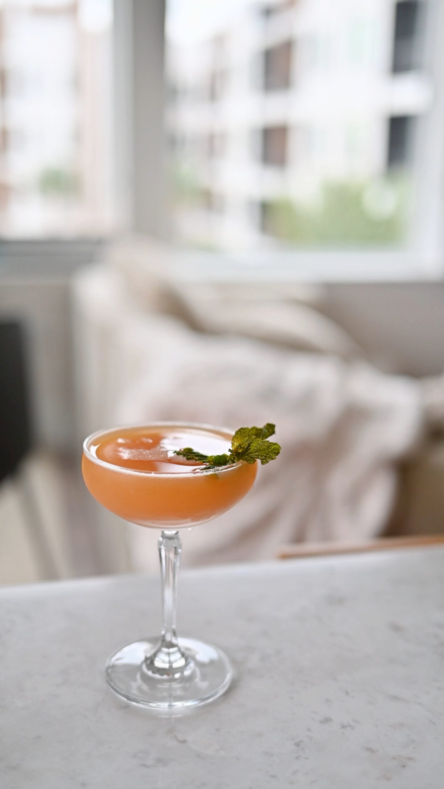 Coupe glass with blood orange and guava mocktail garnished with mint