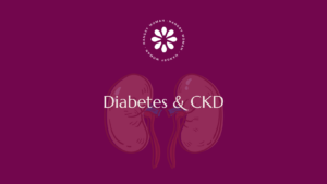 Graphic depicting diabetes and chronic kidney disease with a transparent kidney